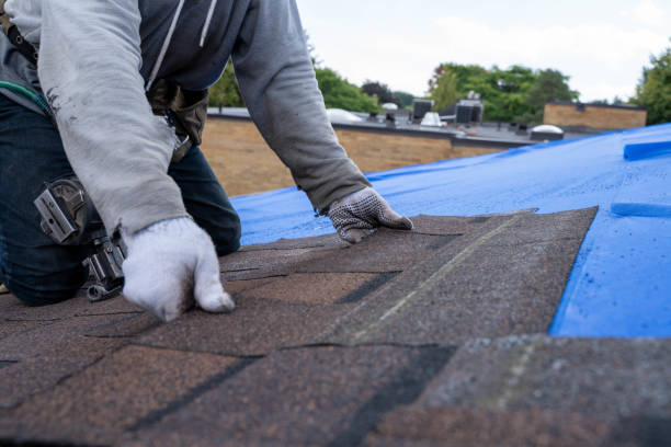 Best Residential Roofing Contractor  in Fort Branch, IN